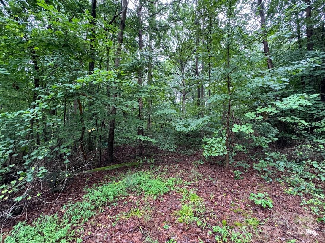 Denver, North Carolina 28037, United States, ,Land,Active,165880