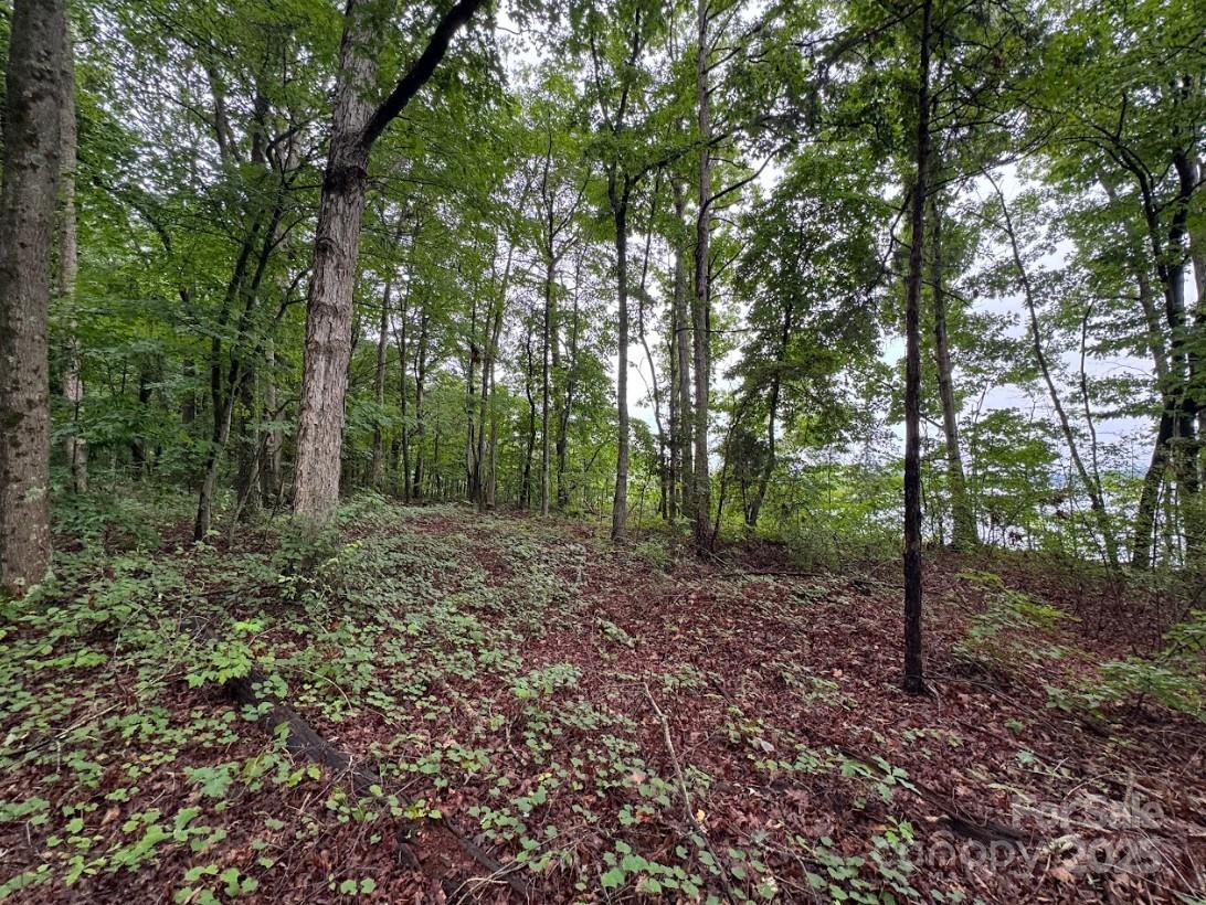 Denver, North Carolina 28037, United States, ,Land,Active,165880