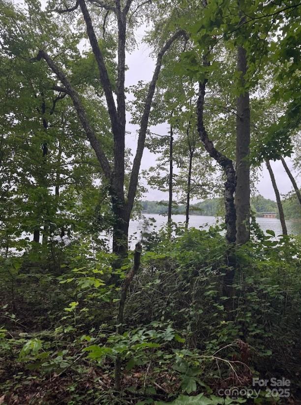 Denver, North Carolina 28037, United States, ,Land,Active,165880