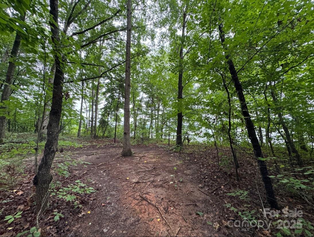 Denver, North Carolina 28037, United States, ,Land,Active,165880