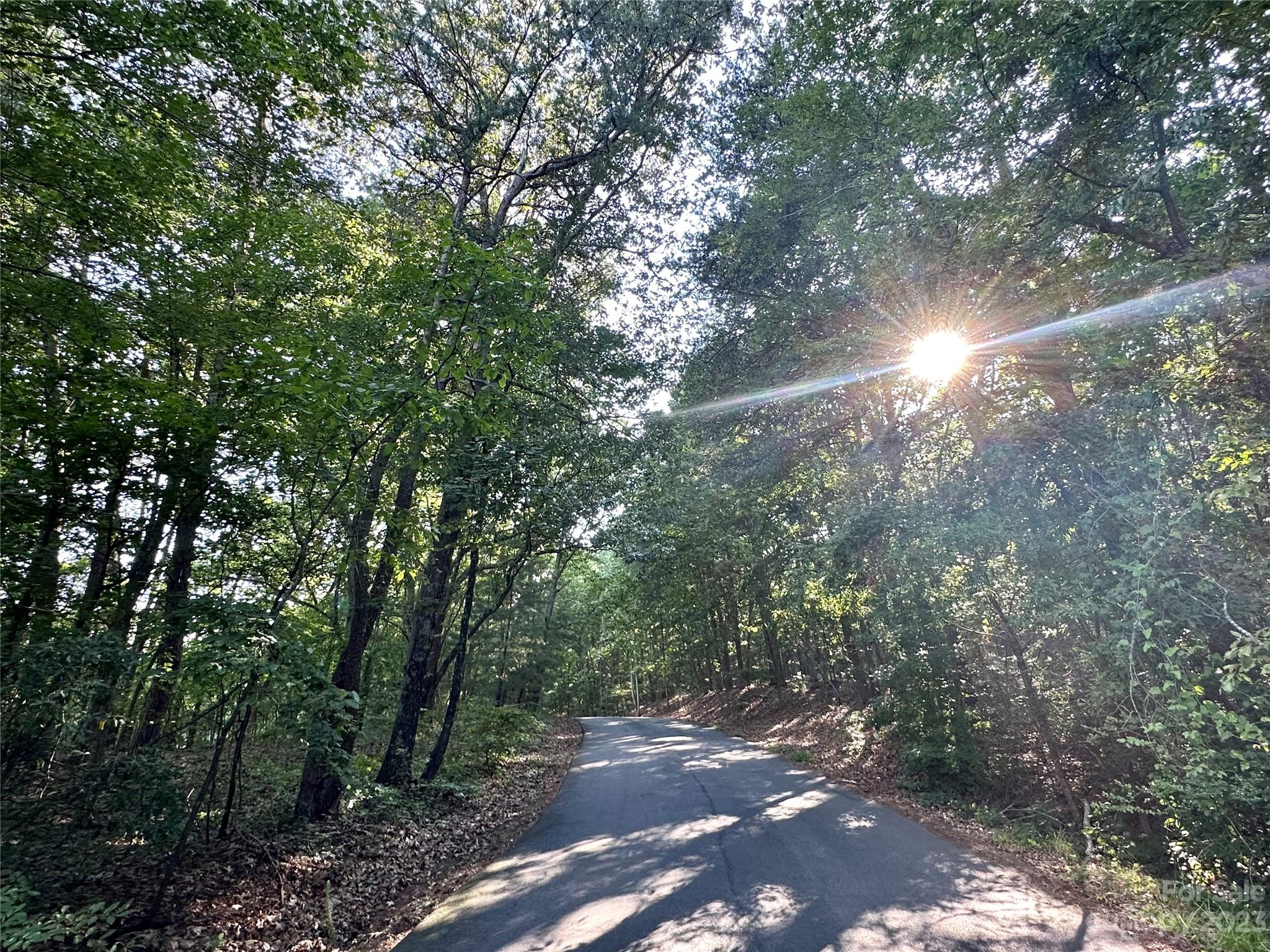 * Spanish Oak Lane Lots 34, 35