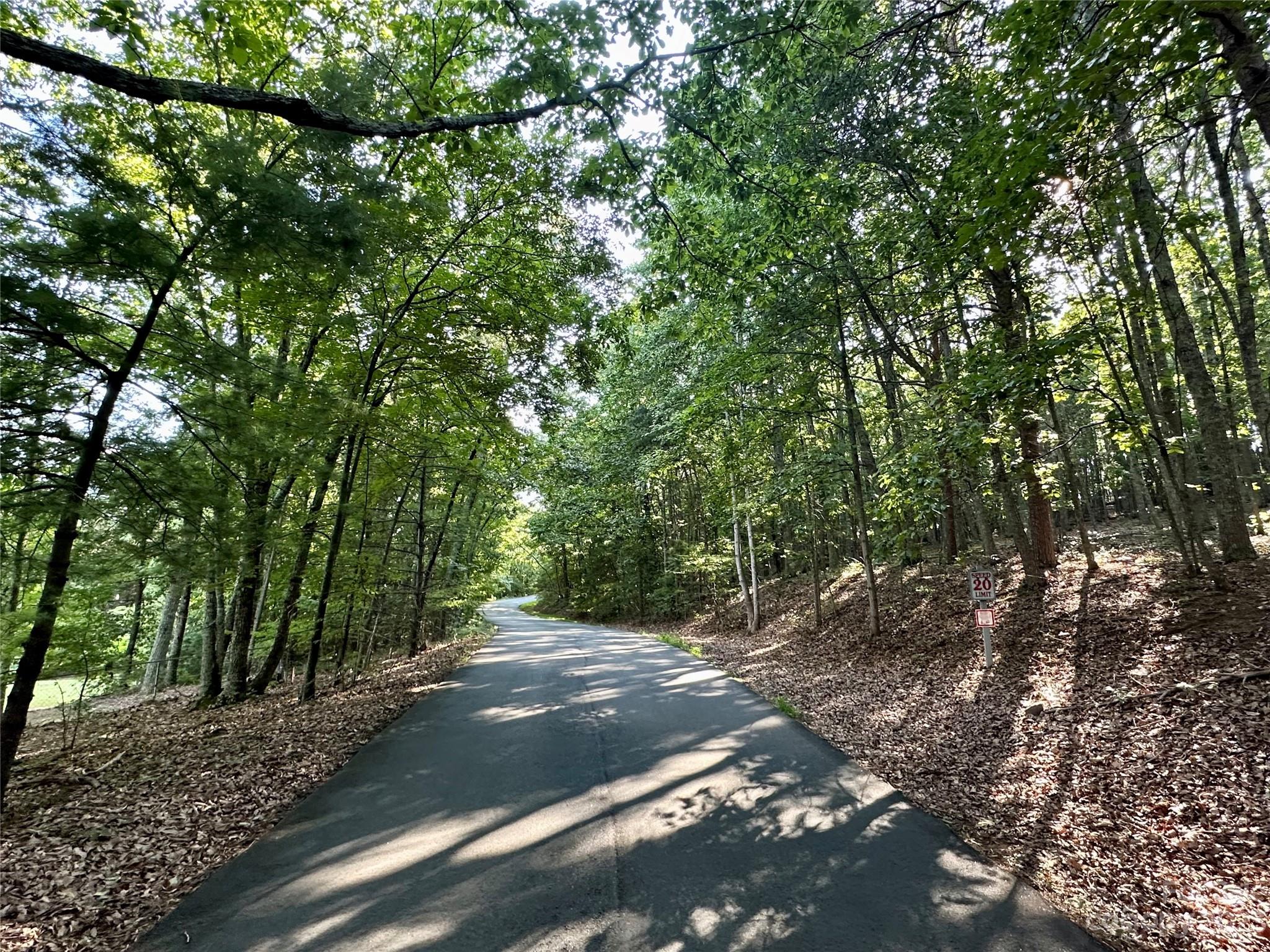 * Spanish Oak Lane Lots 34, 35