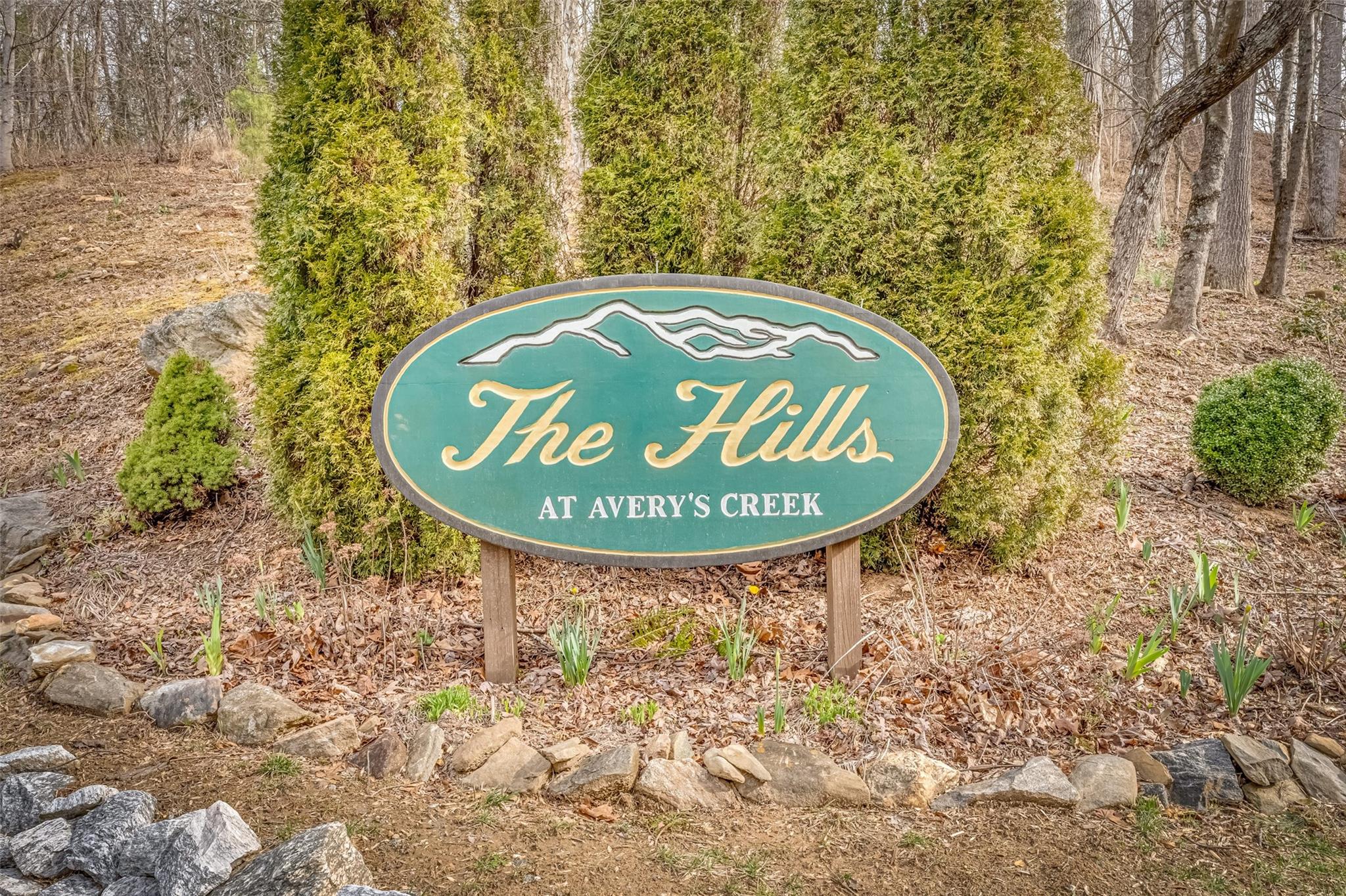 The Hills at Averys Creek - Residential
