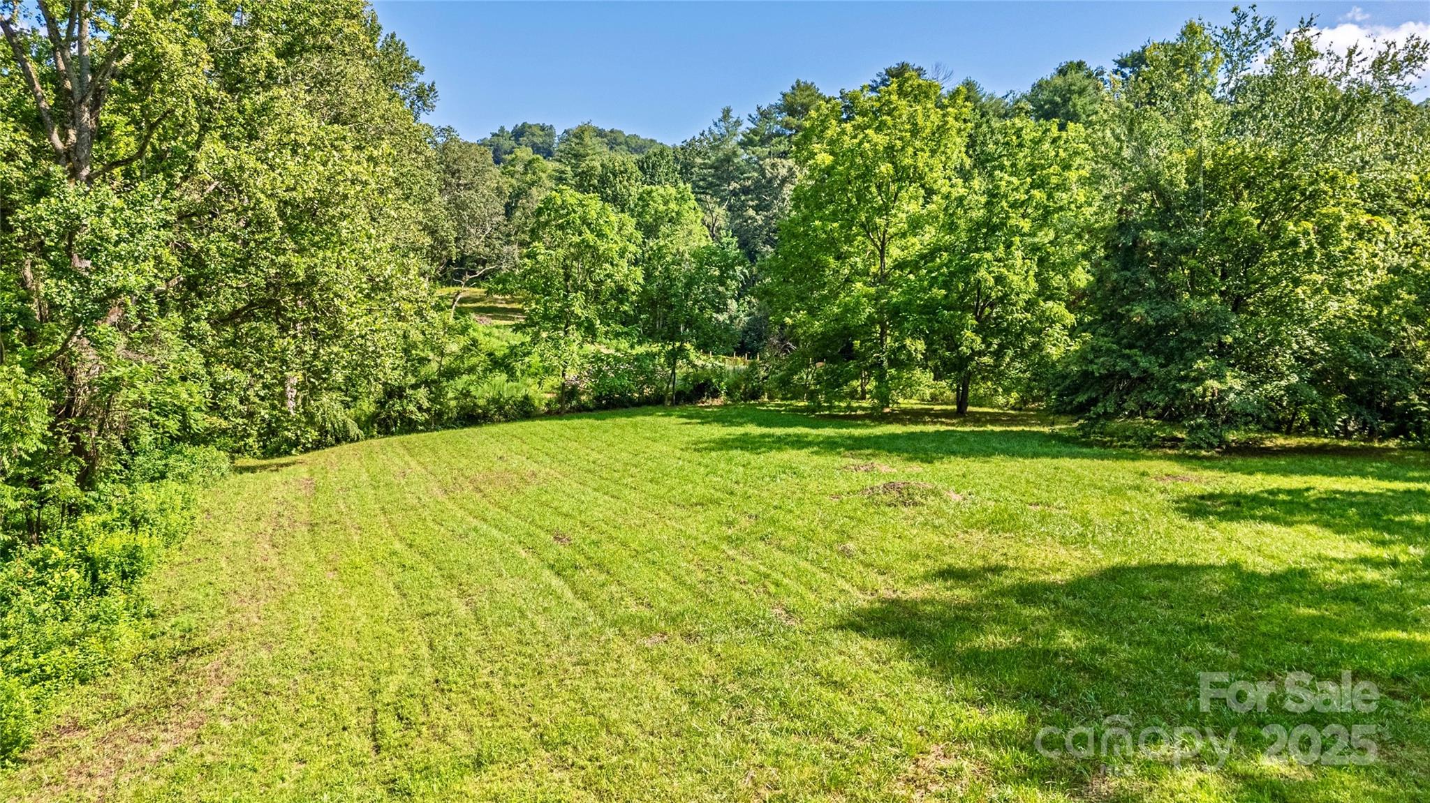99999 Burney Mountain Road