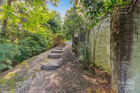 A home in Tryon