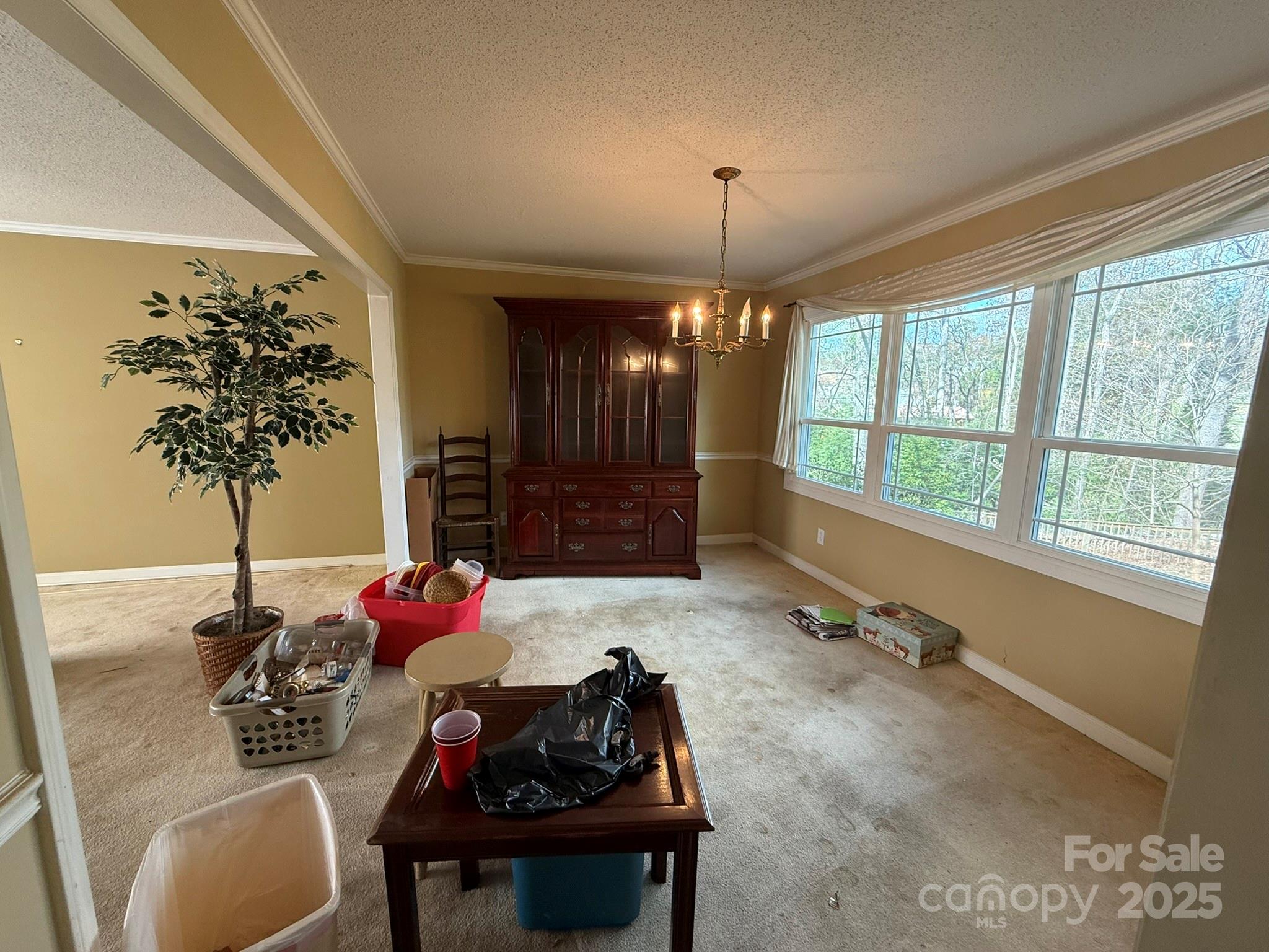 Huntington Forest - Residential