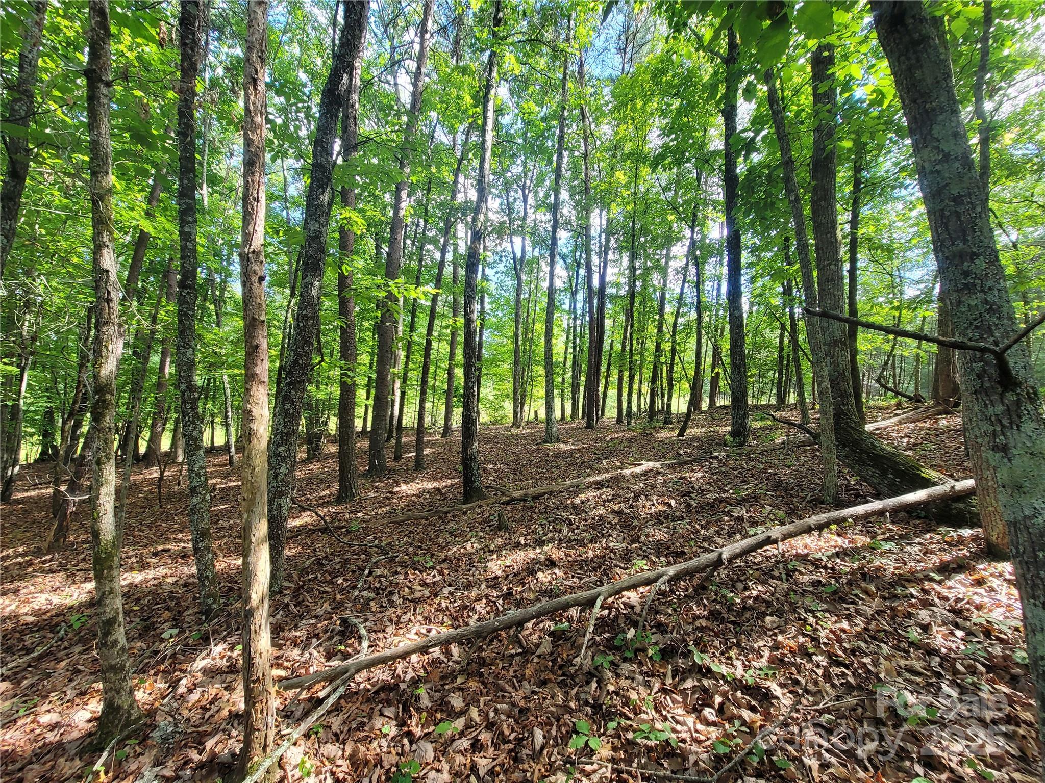 Twelve Mile Post - Land