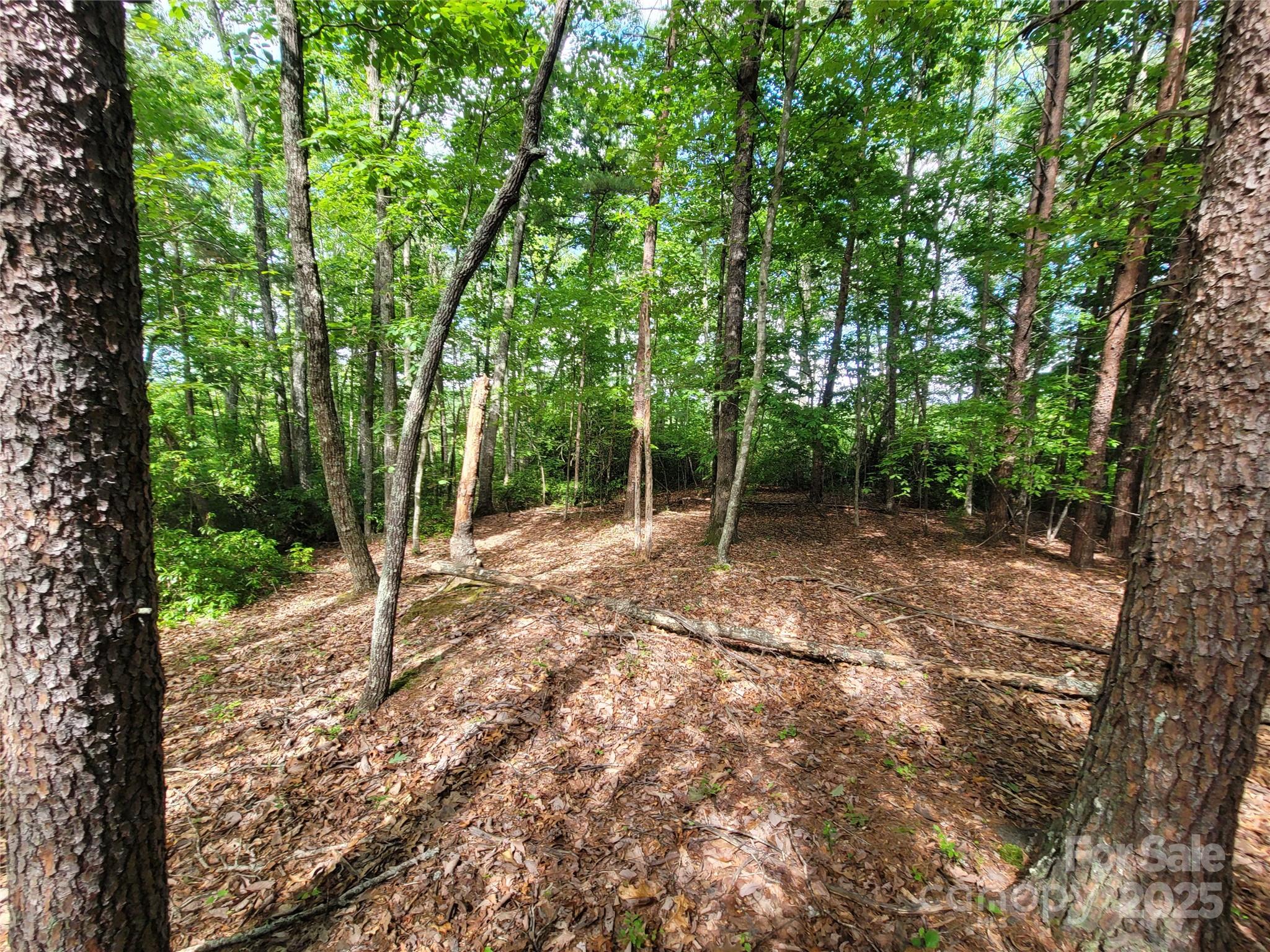 Twelve Mile Post - Land