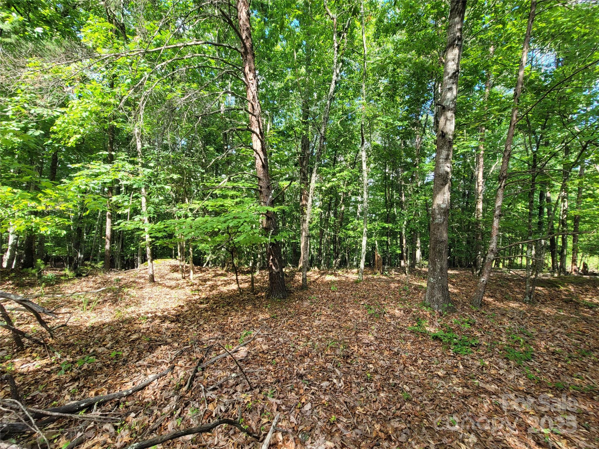 Twelve Mile Post - Land