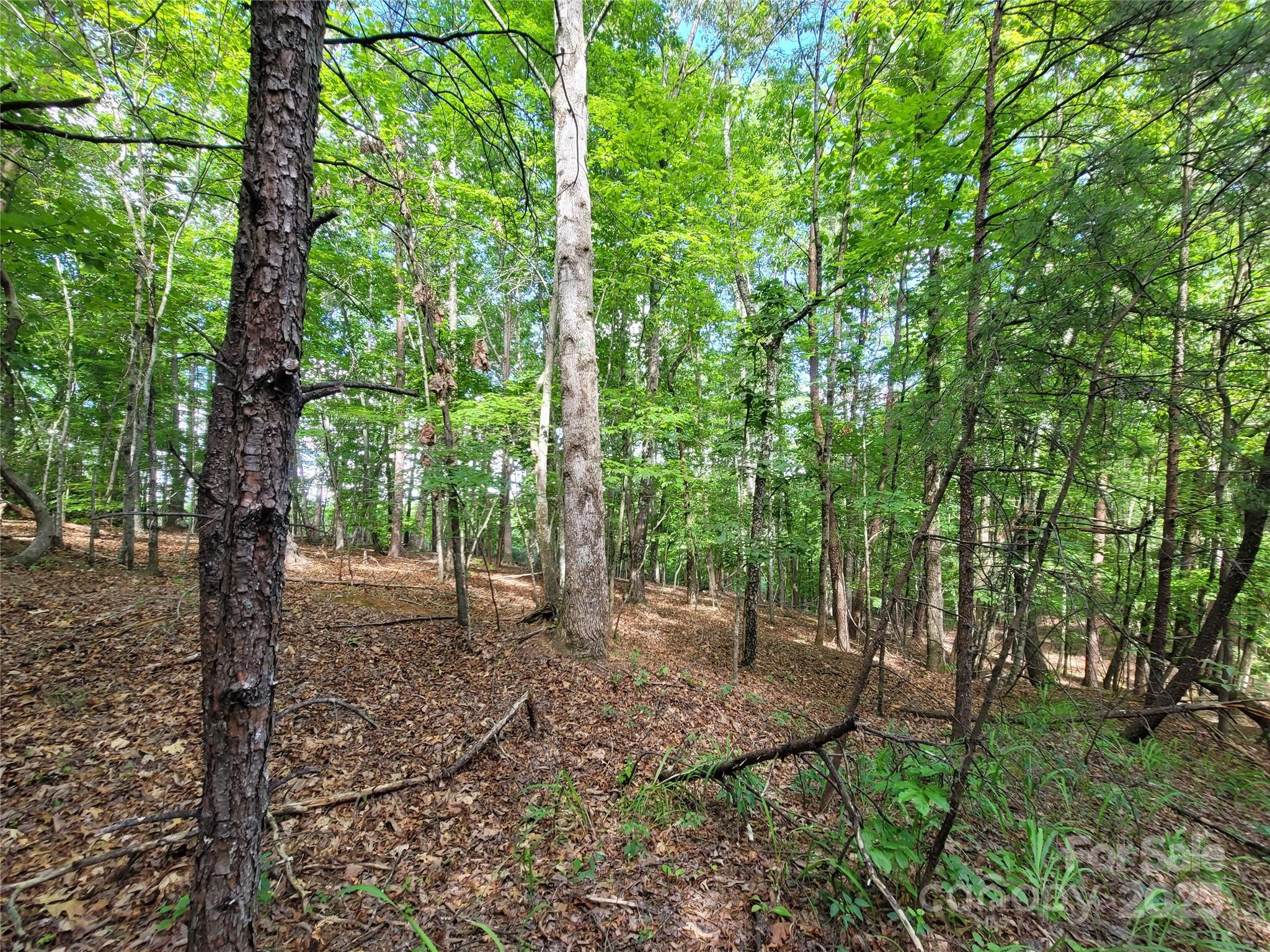 Twelve Mile Post - Land