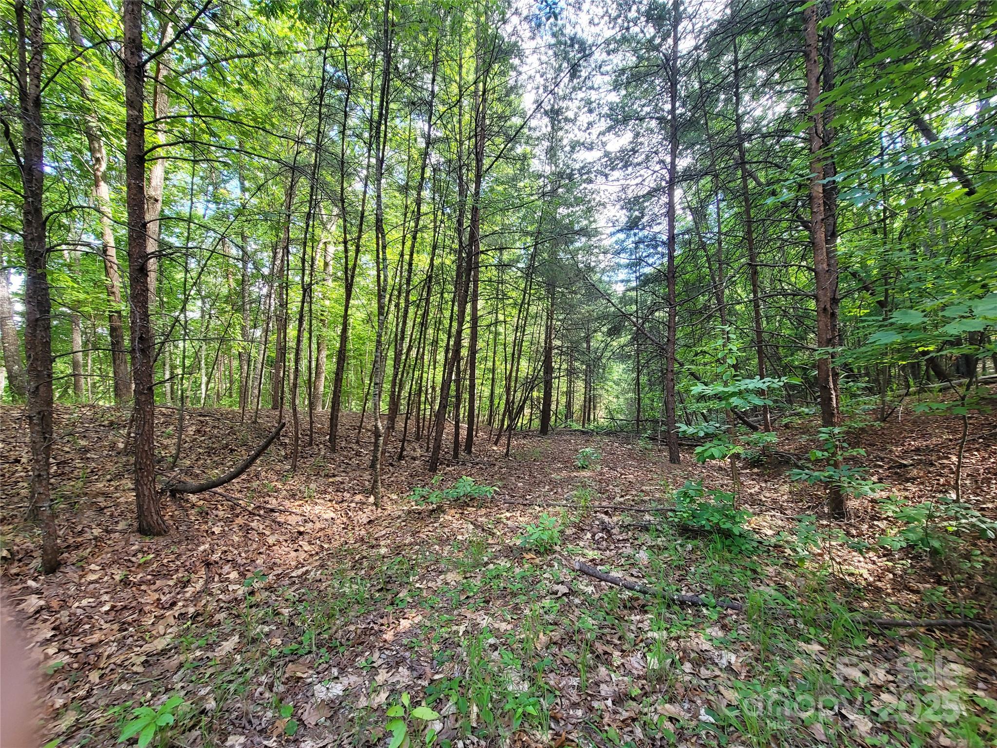 Twelve Mile Post - Land