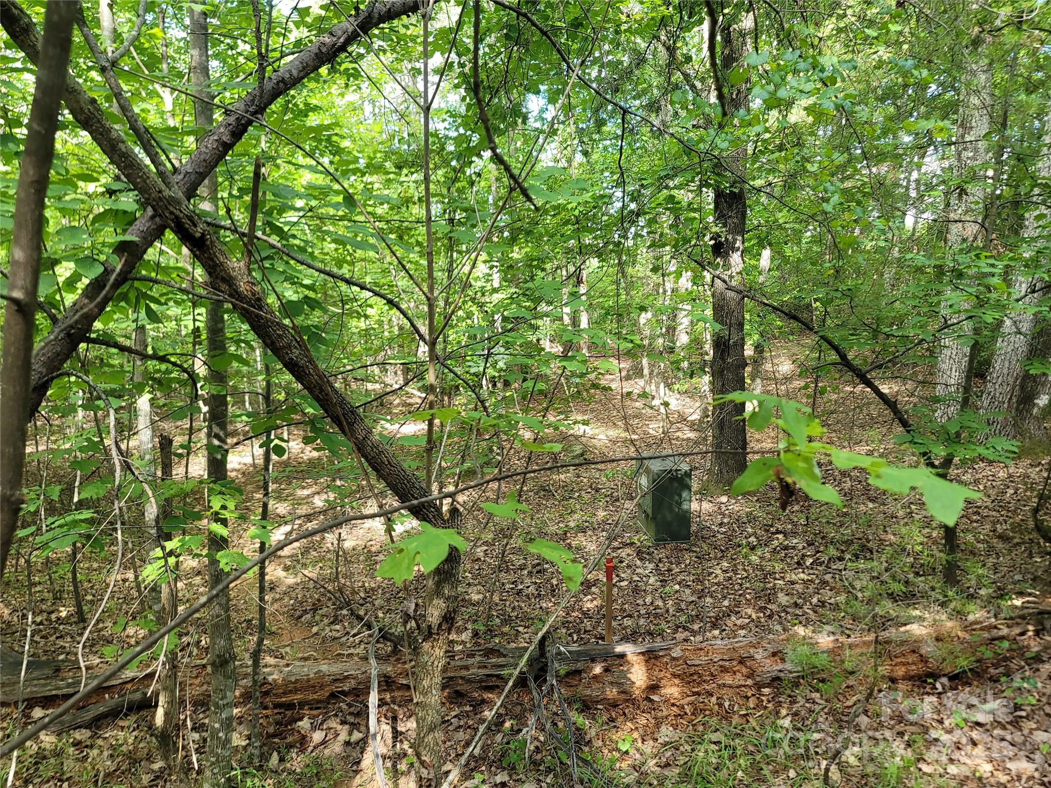 Twelve Mile Post - Land