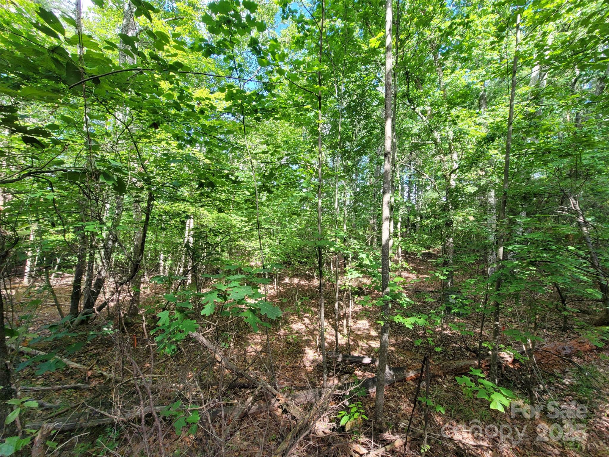 Twelve Mile Post - Land