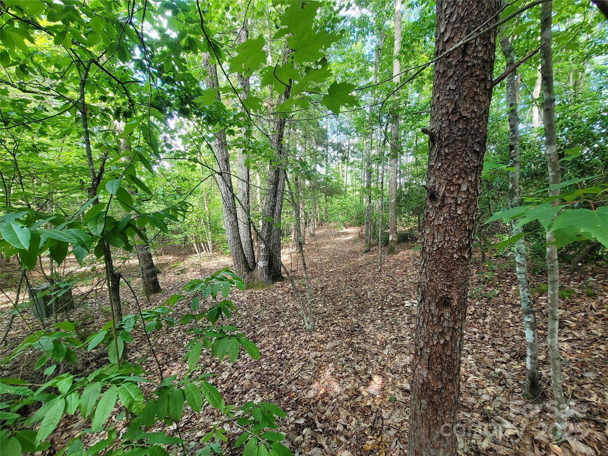 Twelve Mile Post - Land