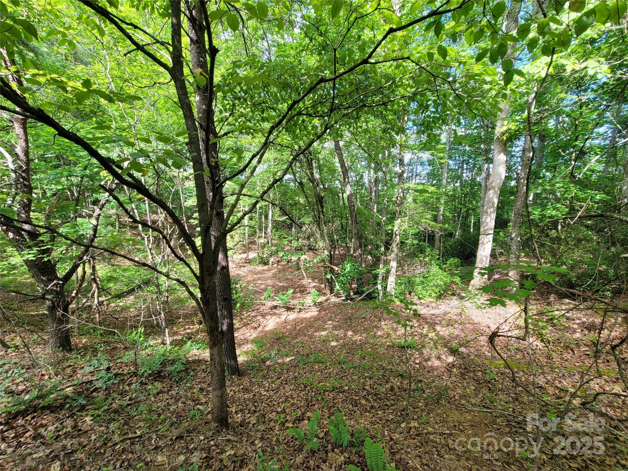 Twelve Mile Post - Land