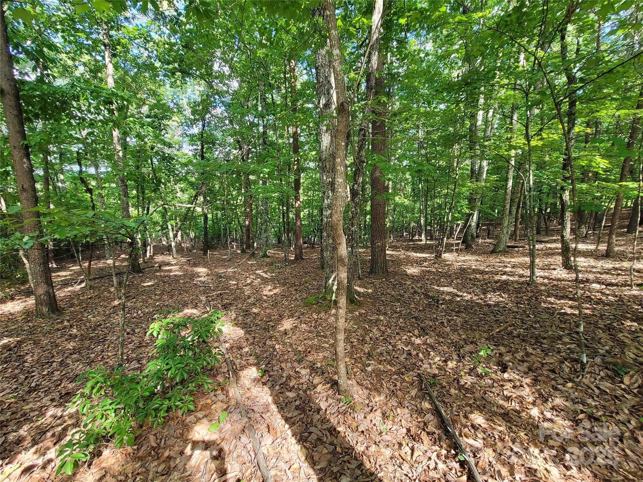 Twelve Mile Post - Land