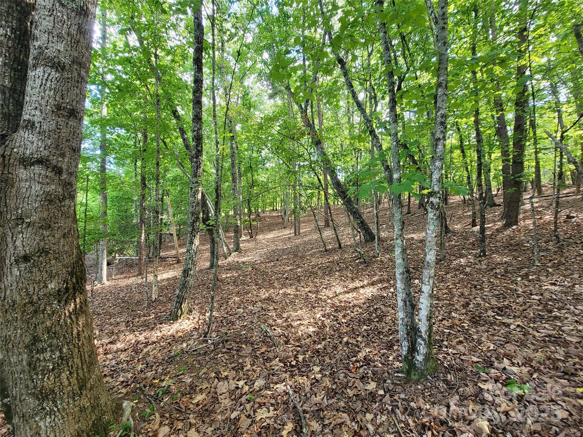 Twelve Mile Post - Land