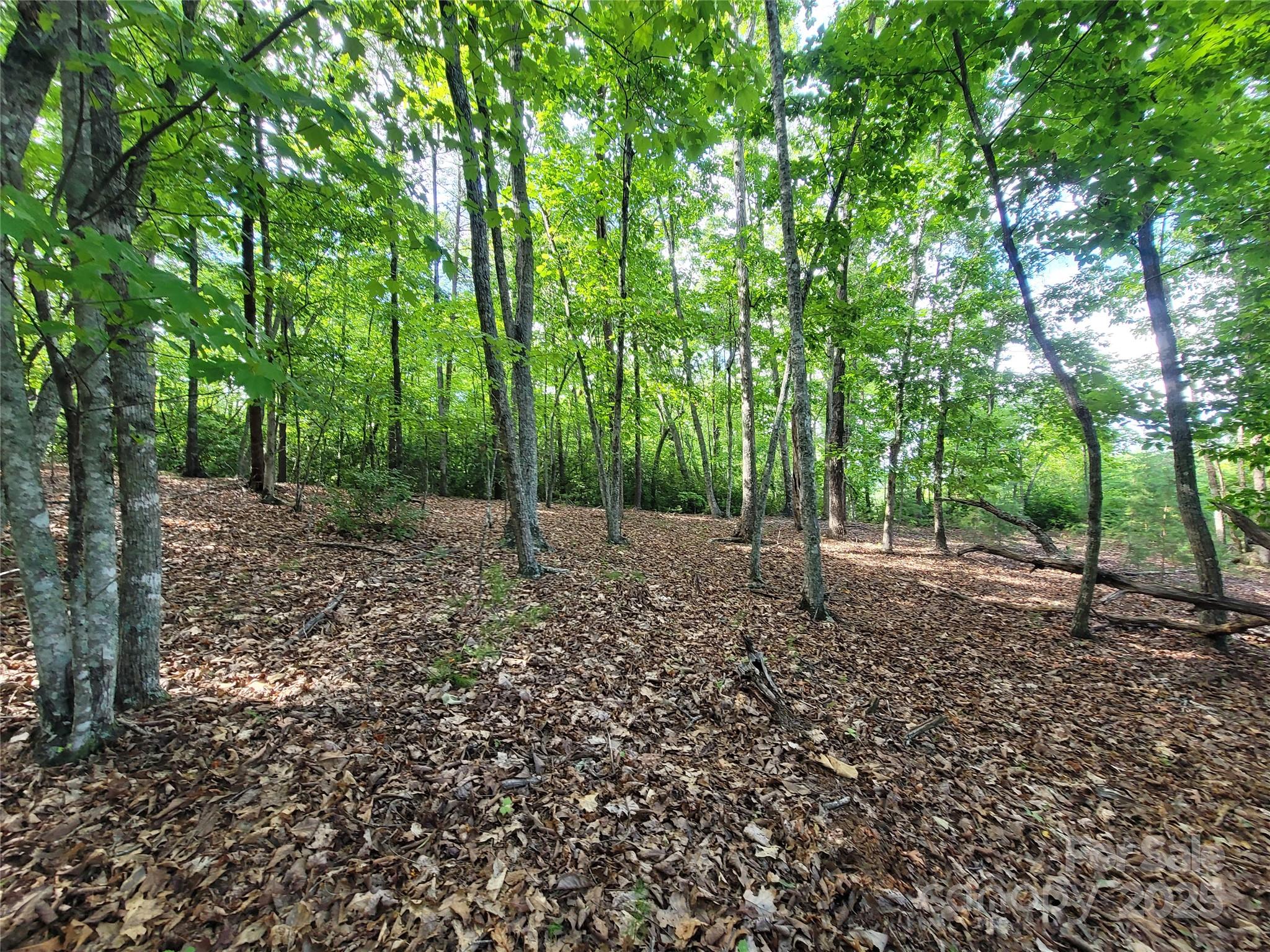 Twelve Mile Post - Land