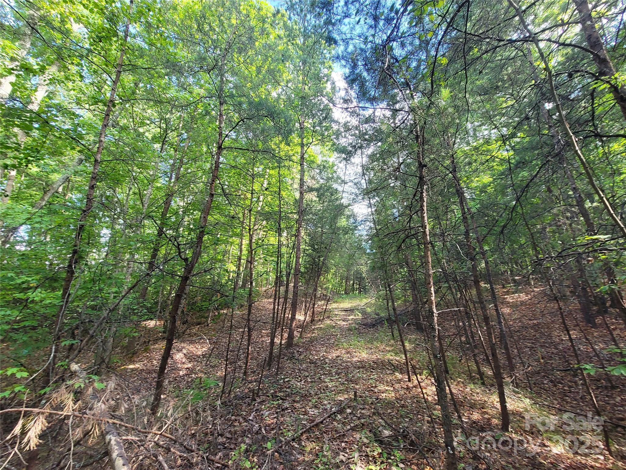 Twelve Mile Post - Land