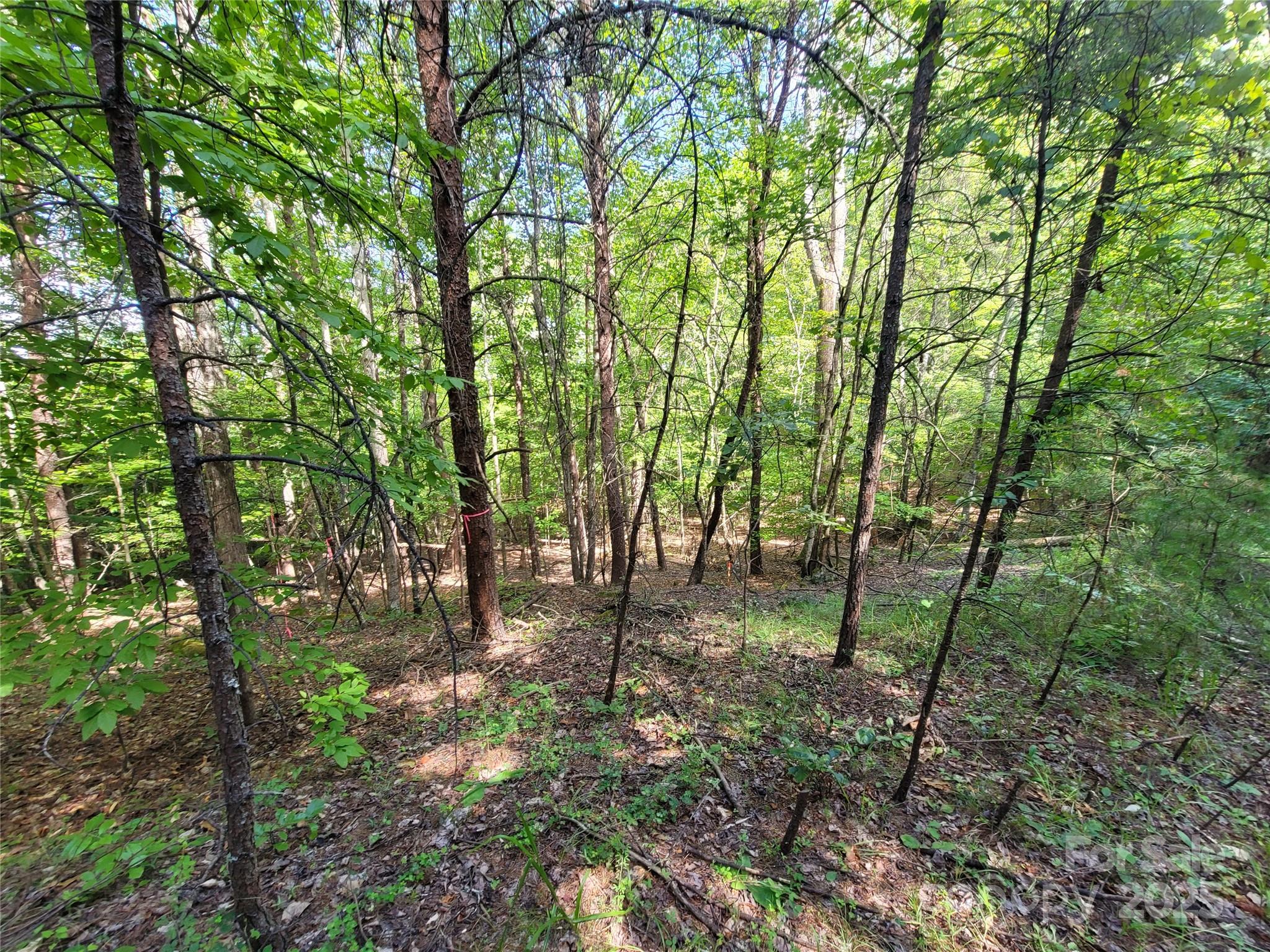 Twelve Mile Post - Land