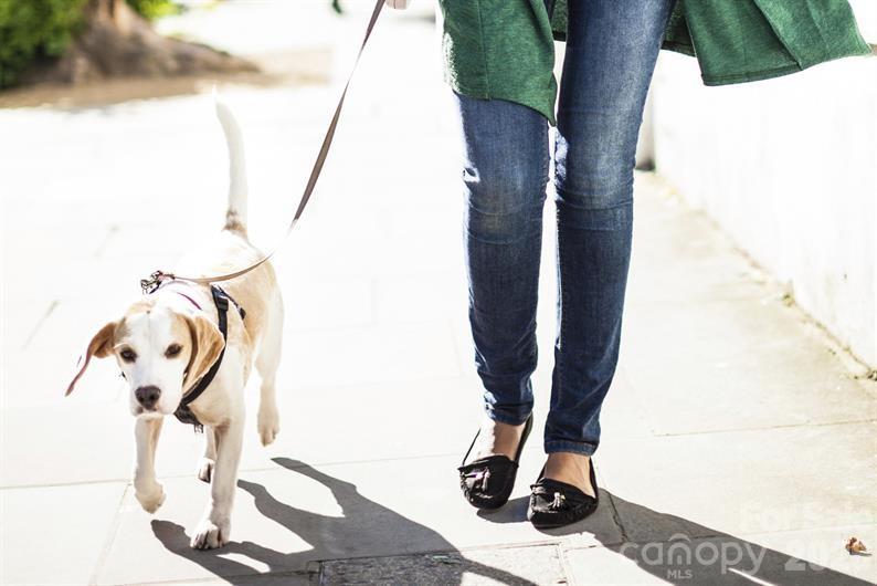 Townhomes at Cannon Run - Residential