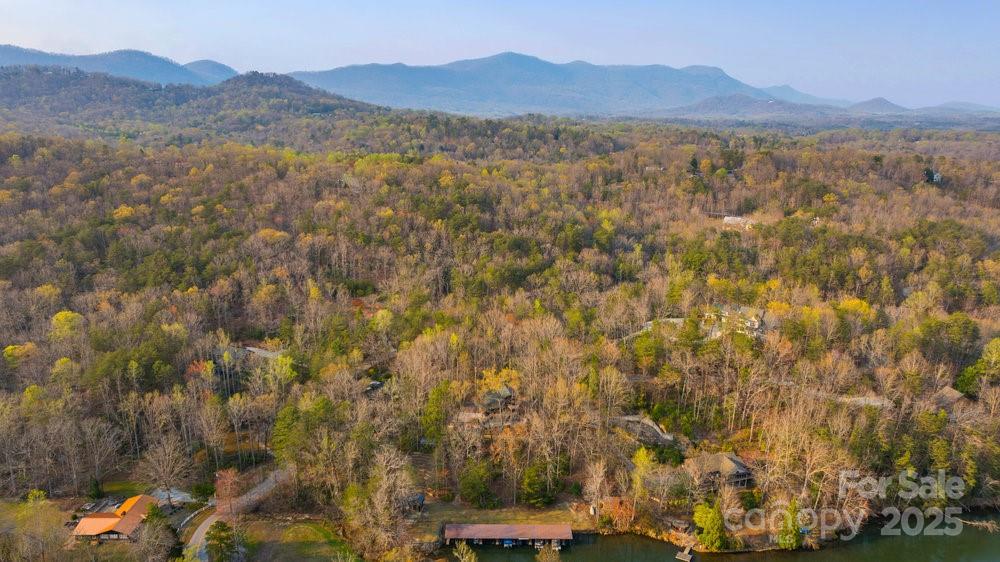 LAKE LANIER - Residential