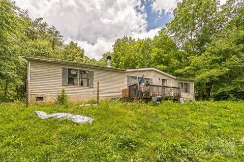 54 Lemon Creek Drive Candler NC 28715