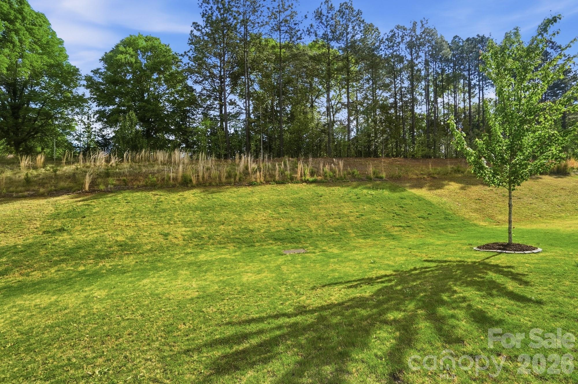 Calvin Creek - Residential