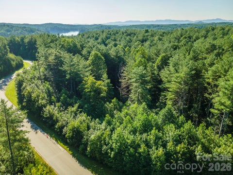 Photo of LOT 28 Peninsula Reserve Road, Nebo, NC 28761 (MLS # 4419100)