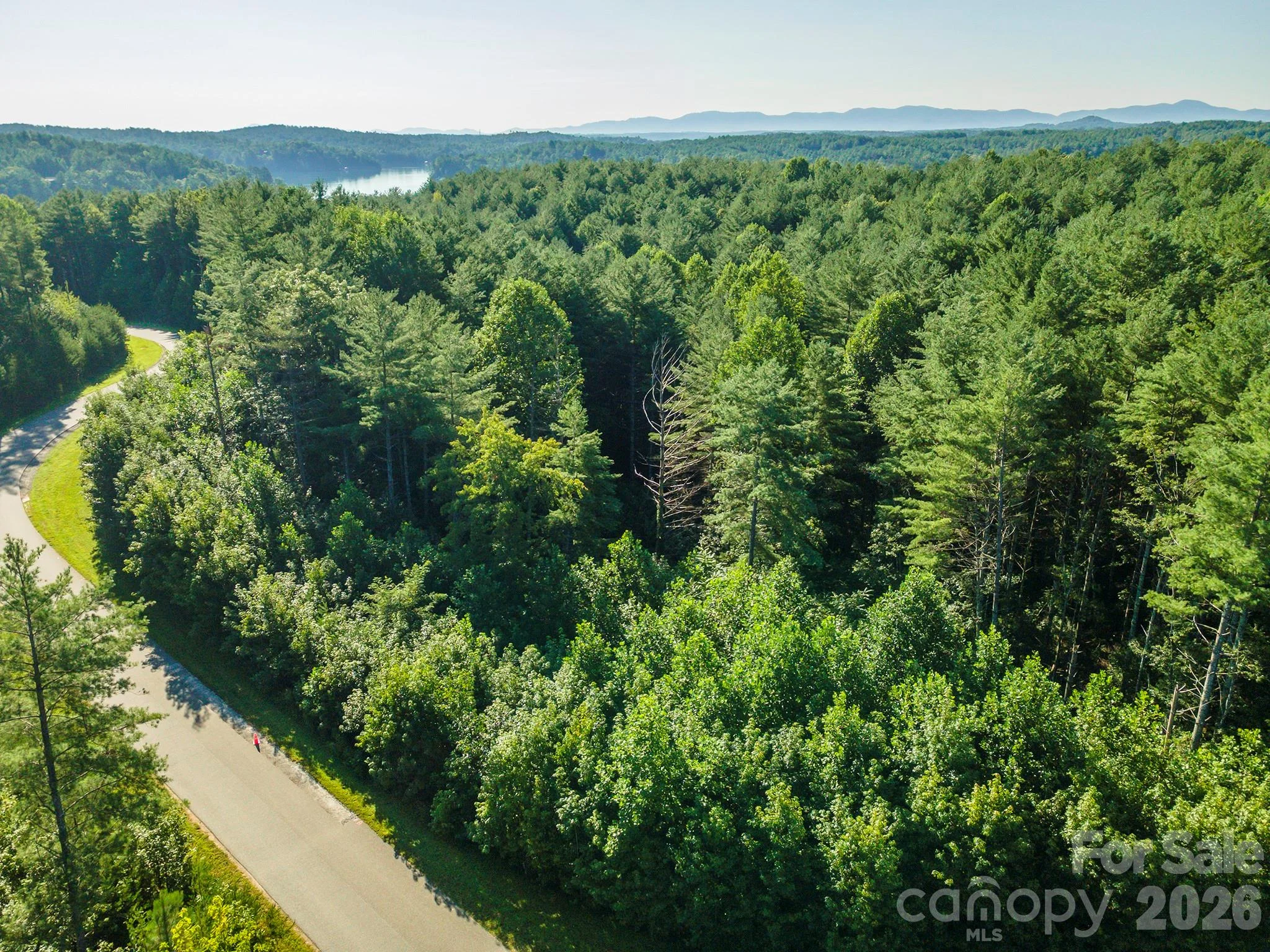 LOT 28 Peninsula Reserve Road, Nebo, NC, 28761