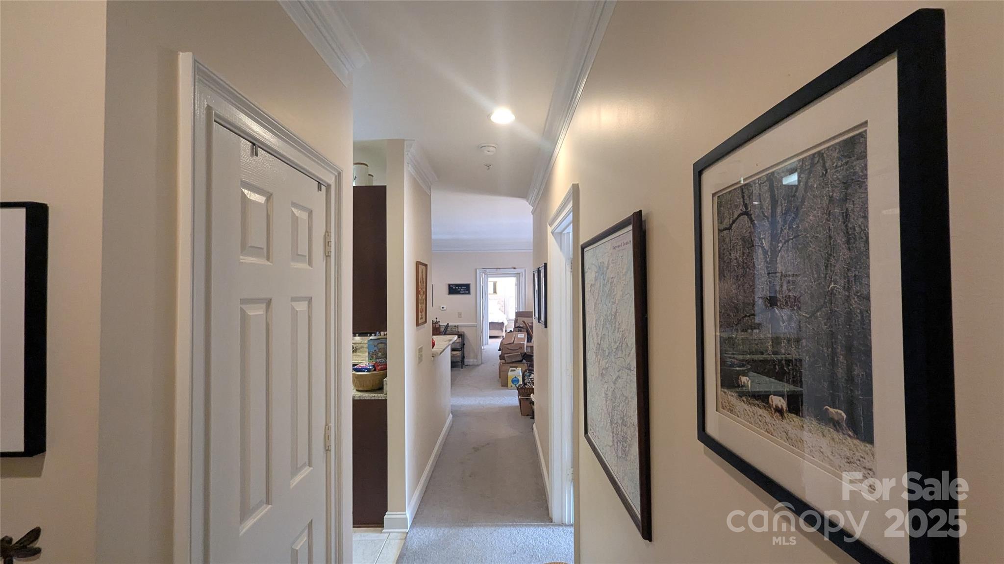 The Mountain Condominium - Residential