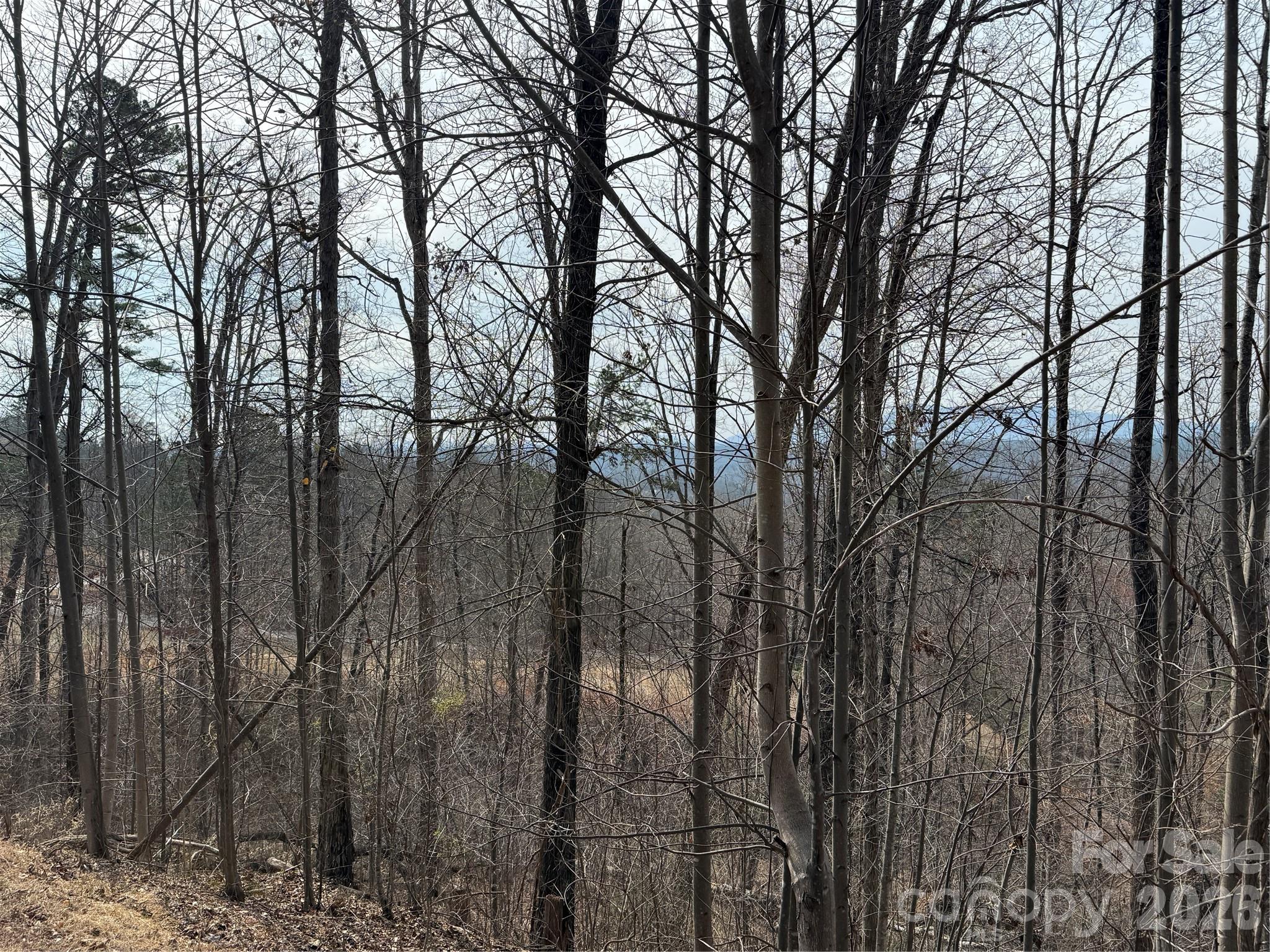 Lot 236 Rock Ledge Drive
