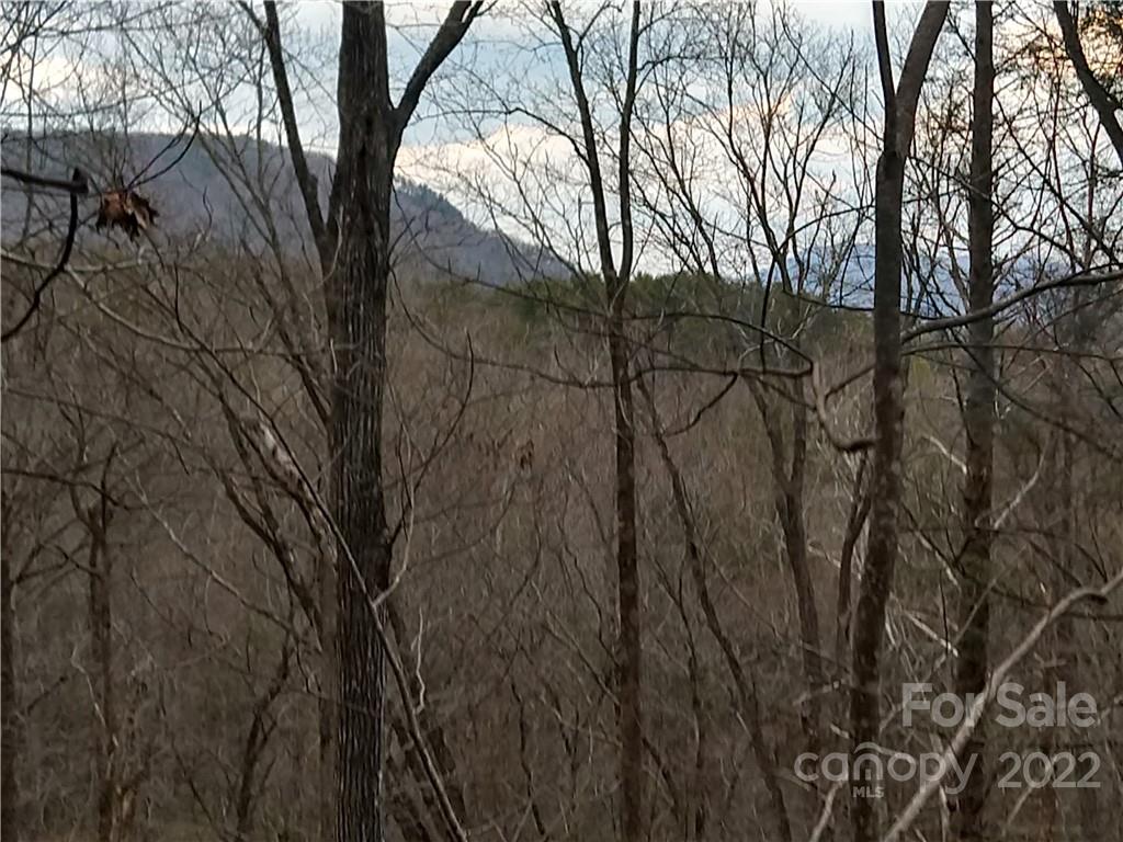 Lots 94 & 95 Rock Spring Road