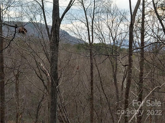 LOTS 94 & 95 ROCK SPRING ROAD, LAKE LURE, NC 28746 - Image 098e66473b344c4c4cfcc1332f366a02/1737606080