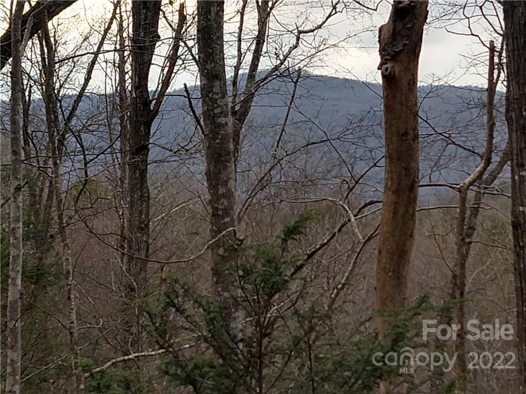 Rumbling Bald on Lake Lure - Land