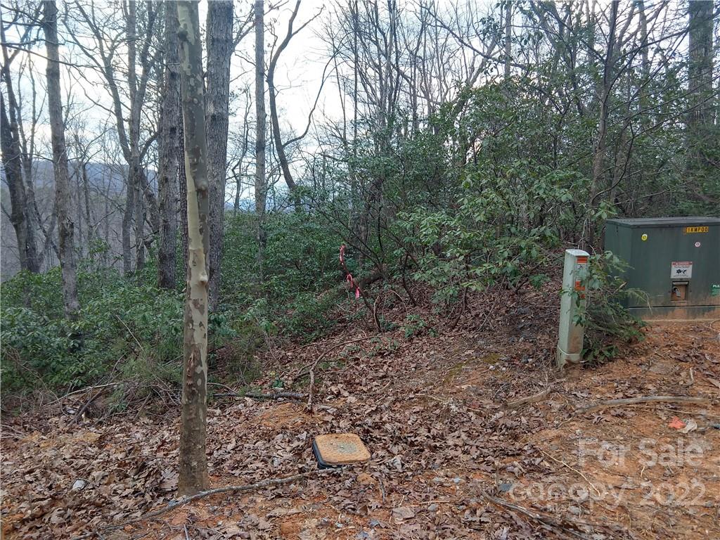 Rumbling Bald on Lake Lure - Land