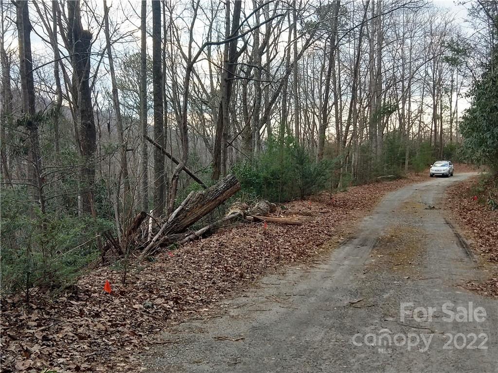 Rumbling Bald on Lake Lure - Land