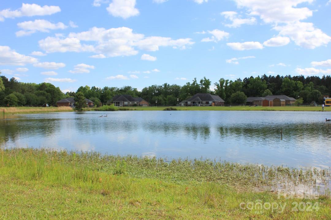 Saddlebrook - Residential