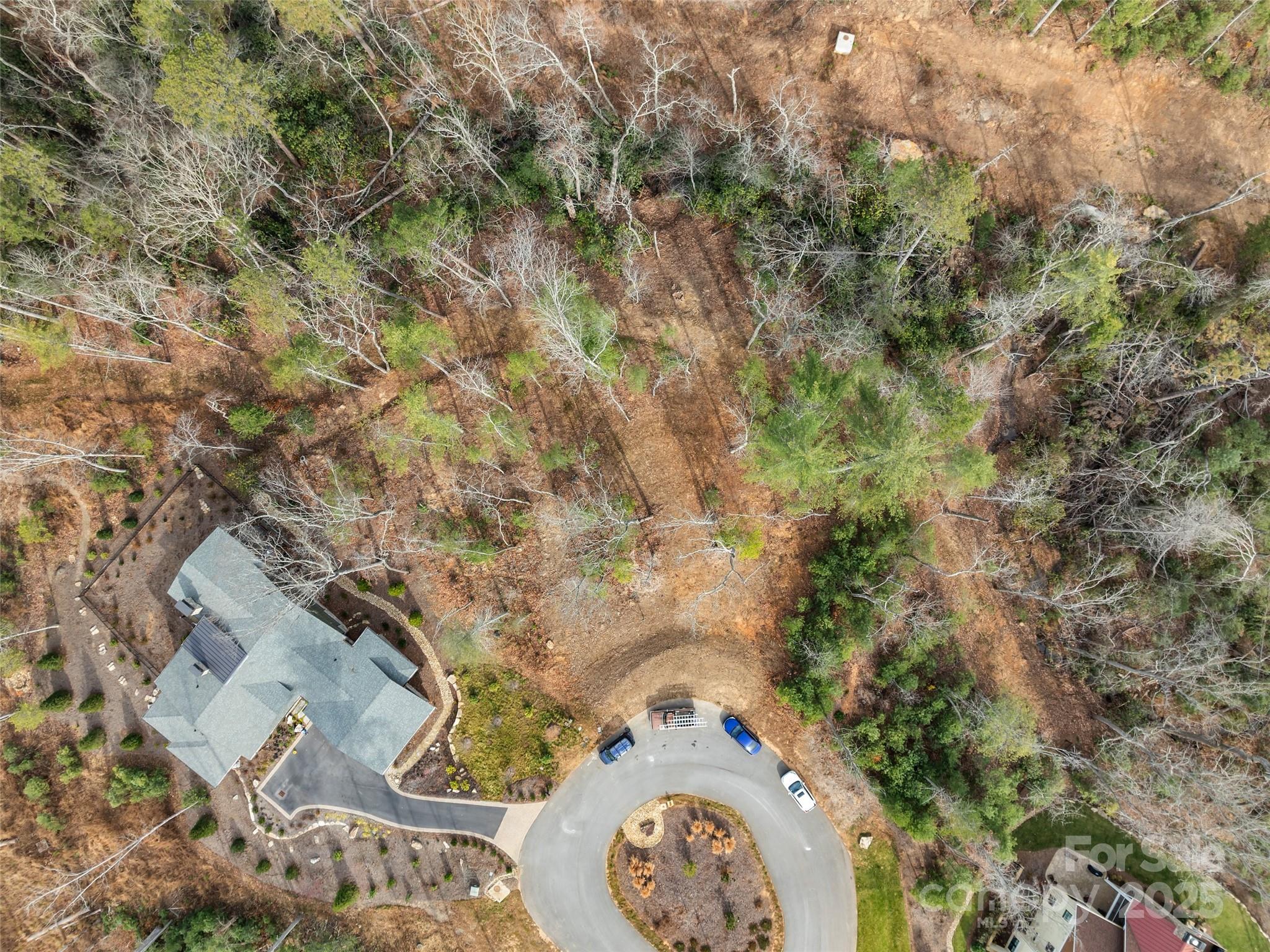 Ramble Biltmore Forest - Land