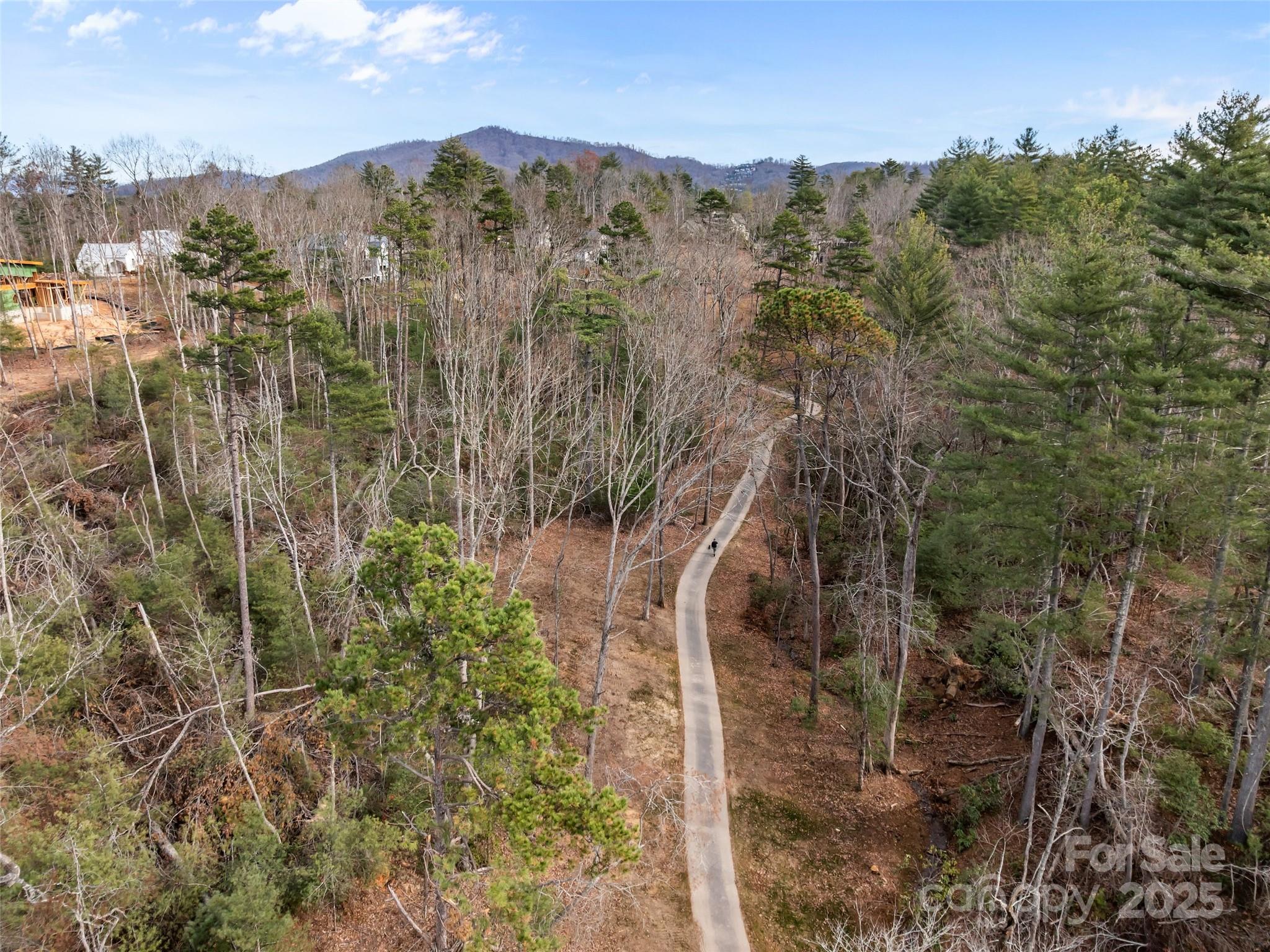 Ramble Biltmore Forest - Land