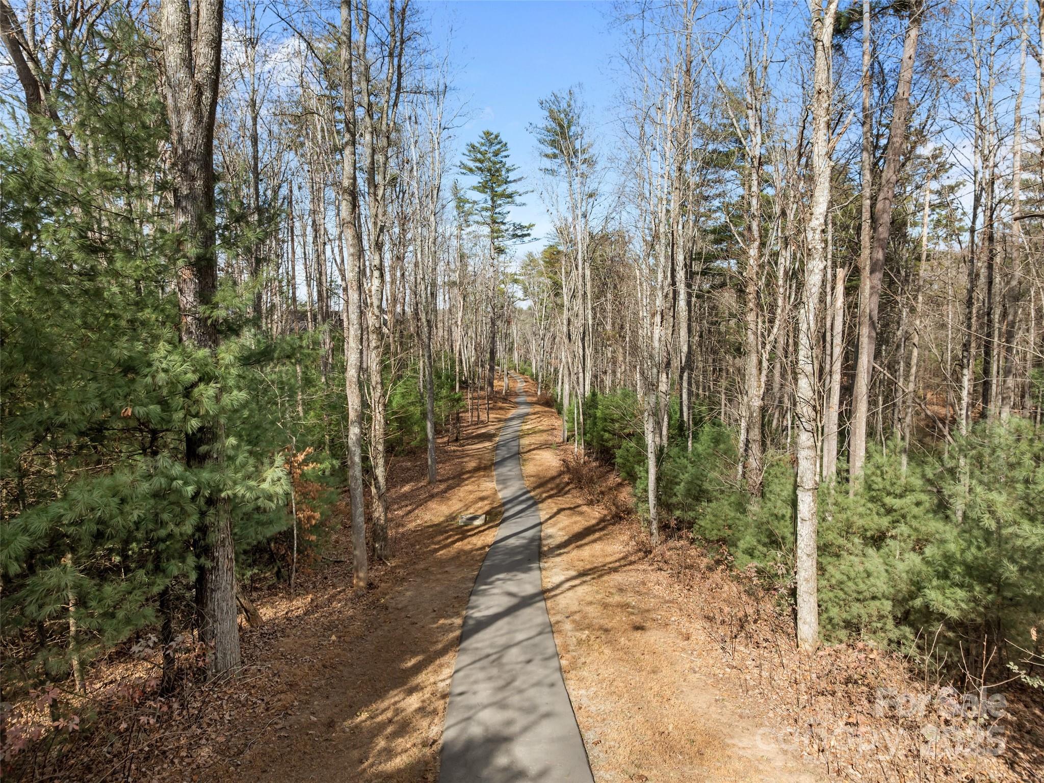 Ramble Biltmore Forest - Land