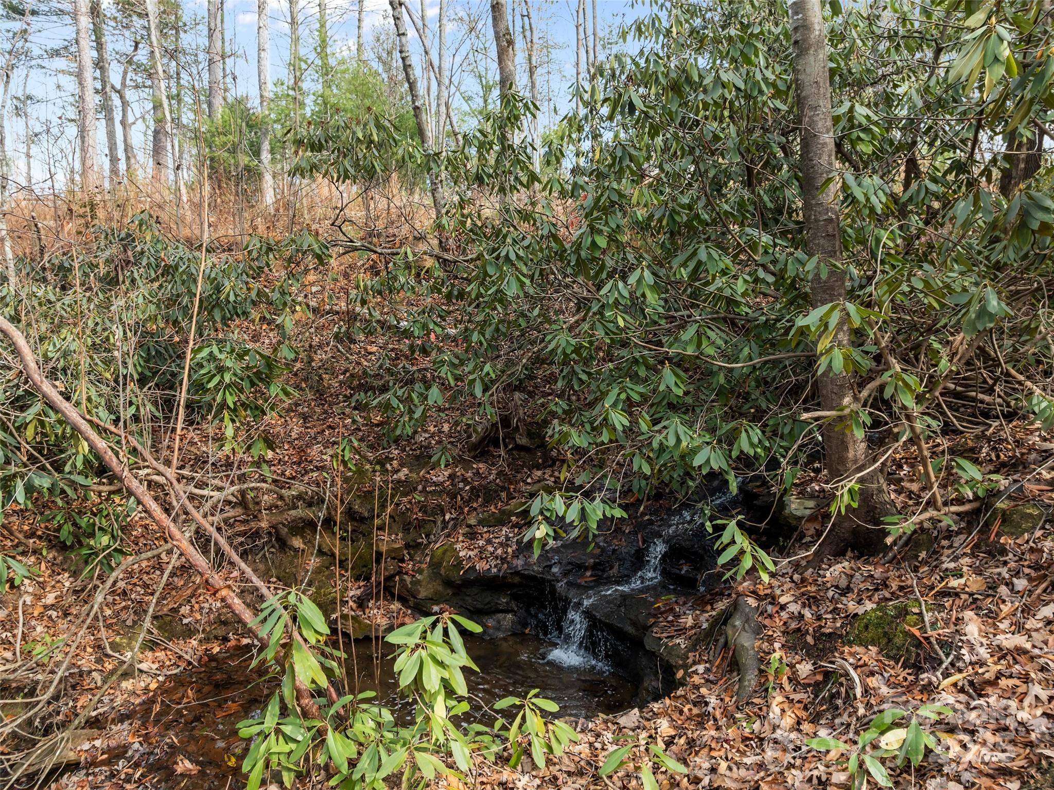 Ramble Biltmore Forest - Land