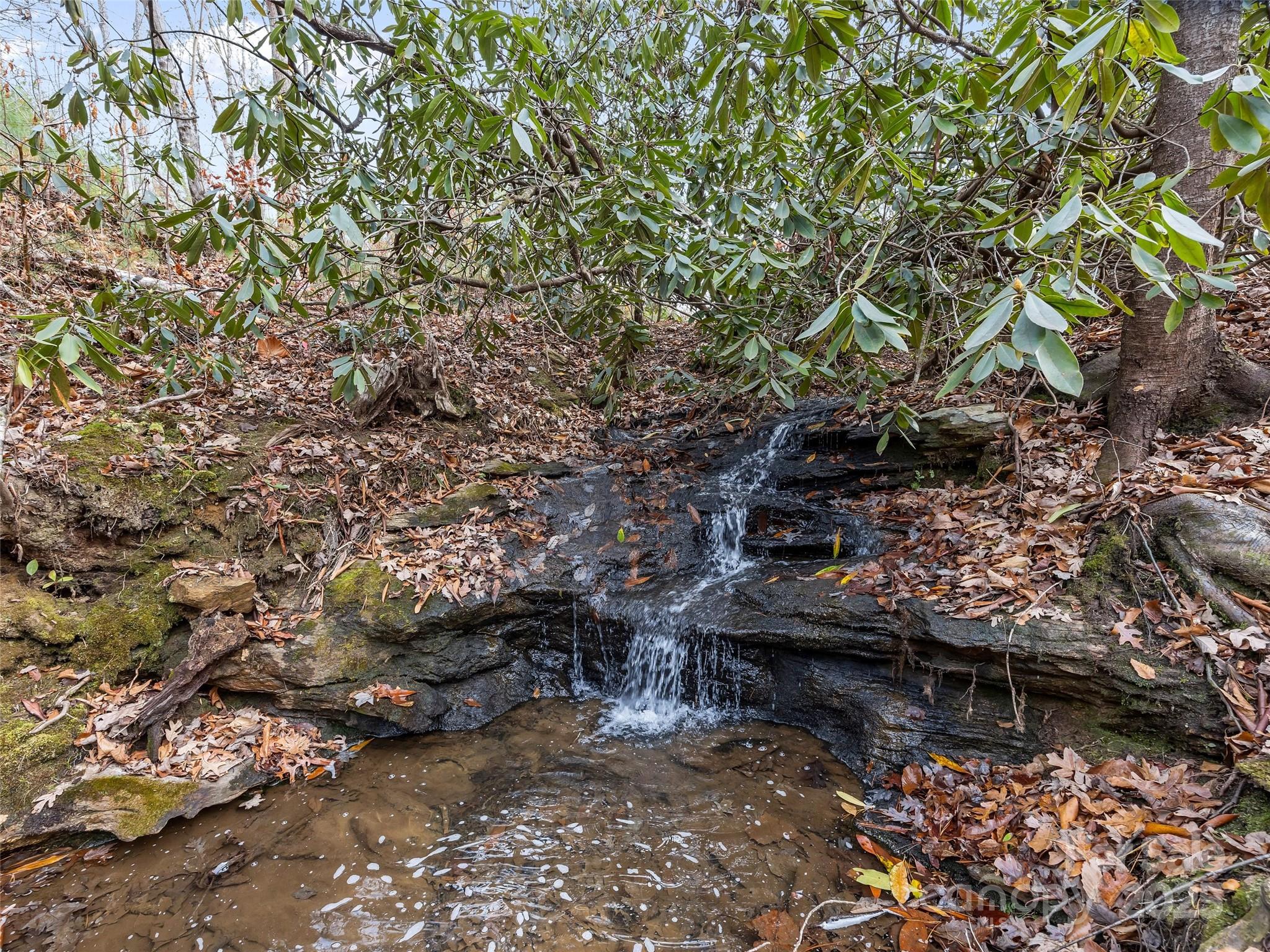 Ramble Biltmore Forest - Land