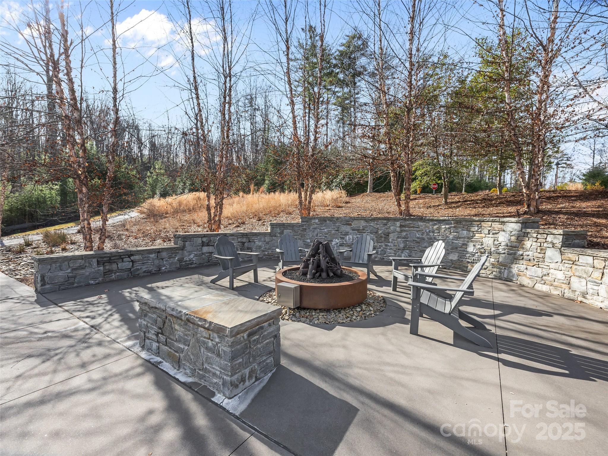 Ramble Biltmore Forest - Land