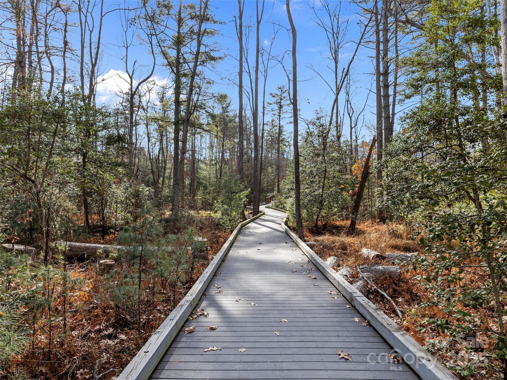 Ramble Biltmore Forest - Land