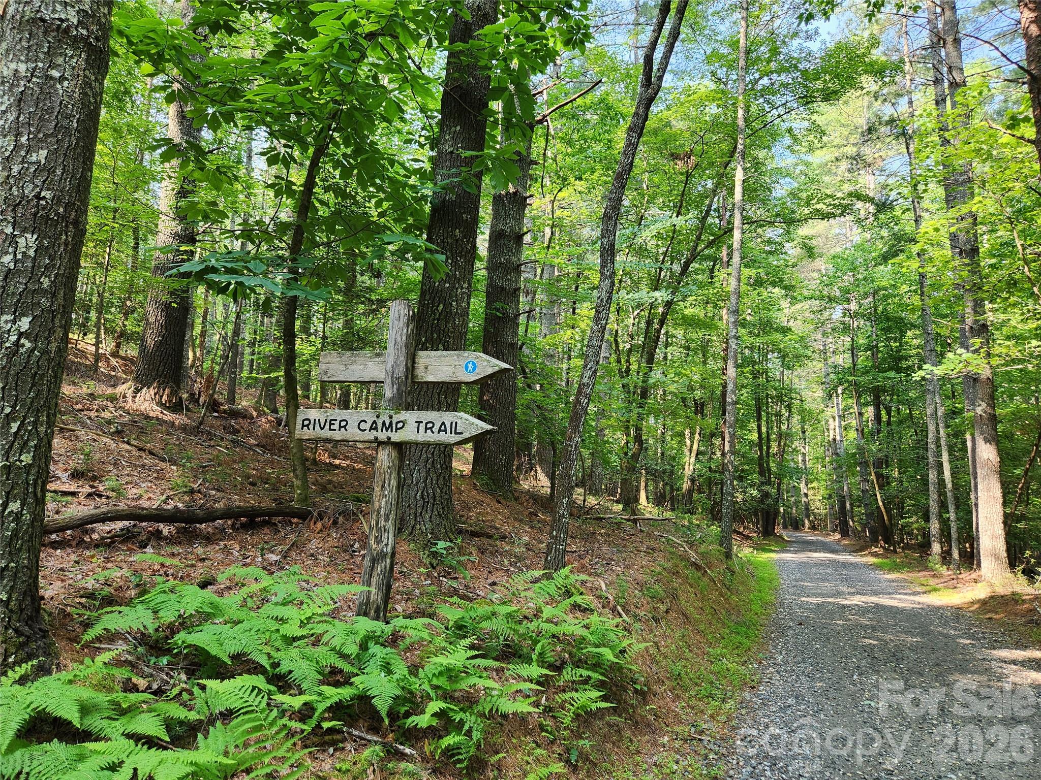 Black Forest - Residential