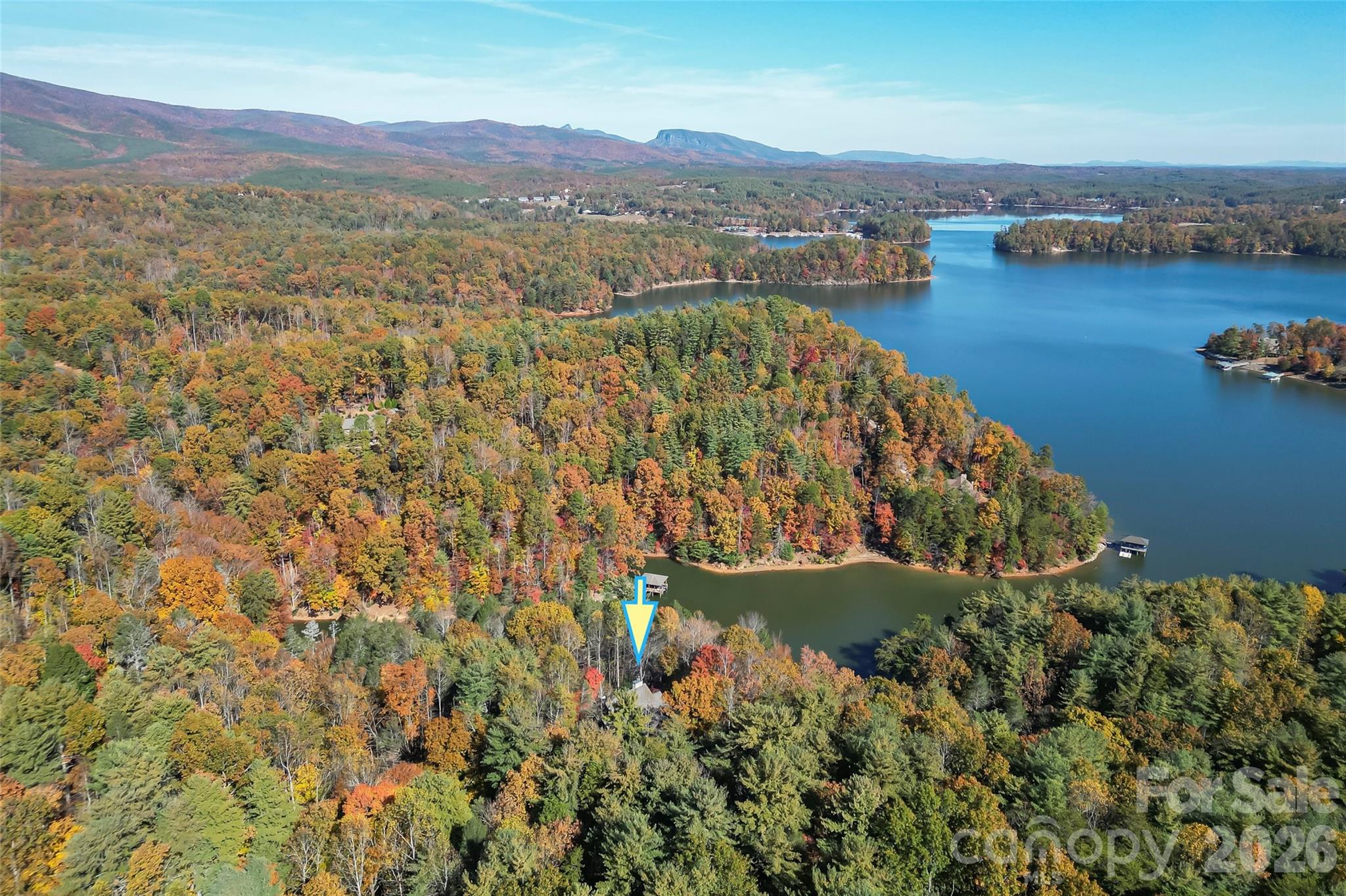 Black Forest - Residential