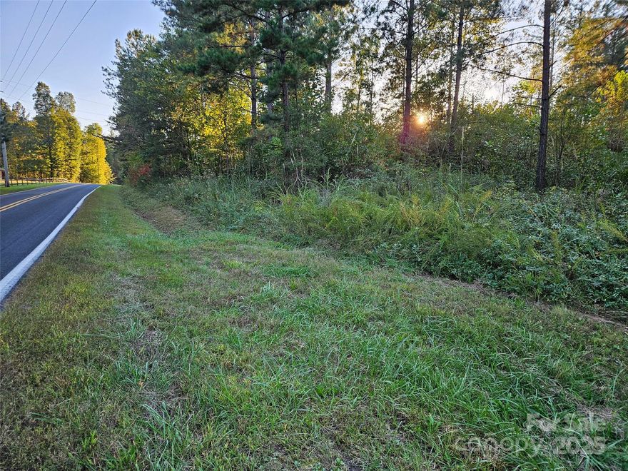 Unrestricted 7.57 +/- acres in Union Mills, NC—your opportunity to live freely and create your own vision! This peaceful wooded property offers privacy and flexibility. Bring your tiny home, manufactured, modular, or build your dream stick-built residence. No HOA, POA, or zoning restrictions—just pure opportunity to live life your way. Enjoy a quiet, country setting while still being close to Rutherfordton, Lake Lure, and Marion for shopping, dining, and recreation. Whether you dream of a private homestead, mini-farm, or weekend getaway, this Union Mills gem delivers the best of both worlds. Don’t miss this rare find. Call for your private showing today!