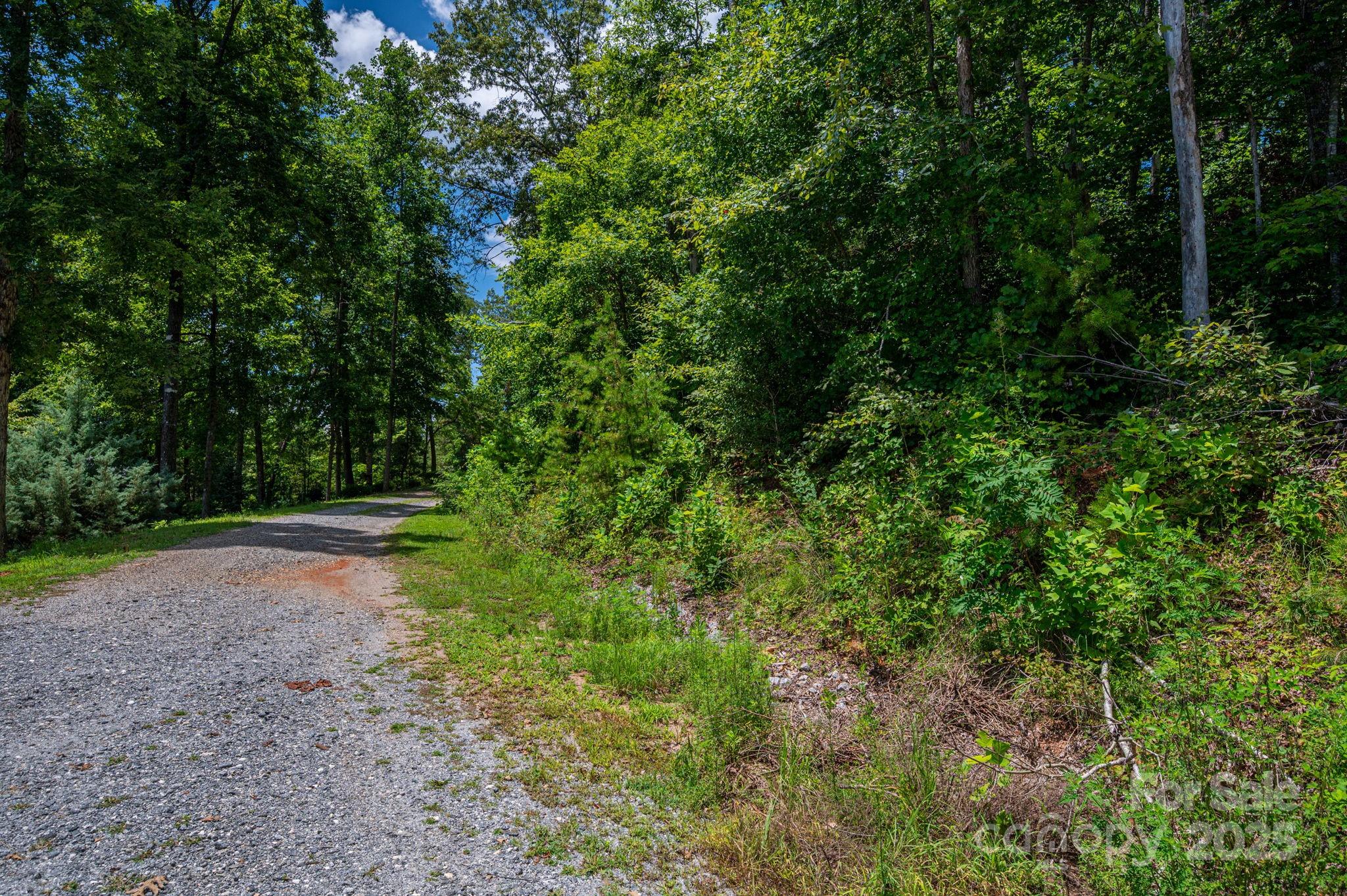 Cleghorn Plantation - Land