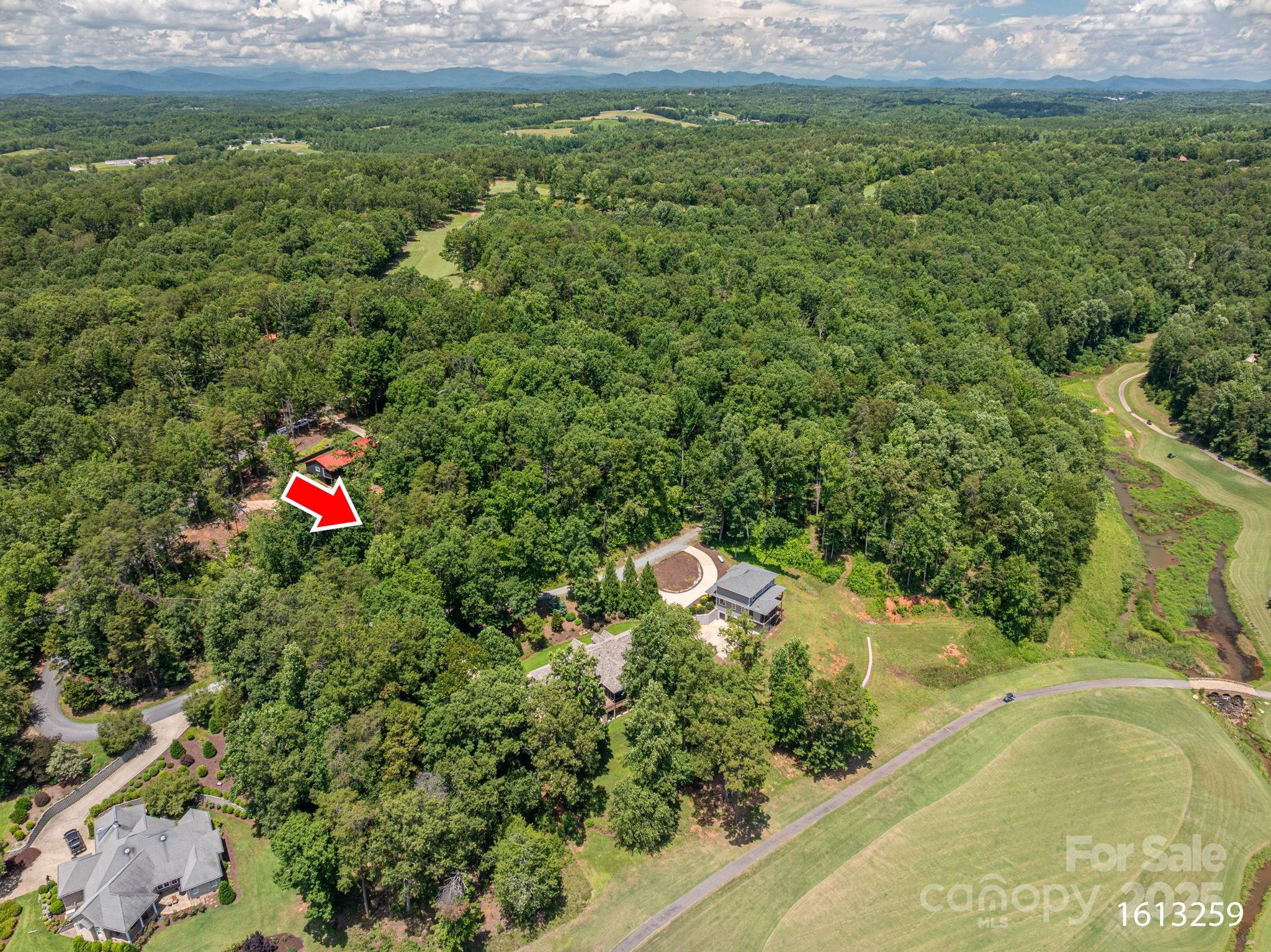 Cleghorn Plantation - Land